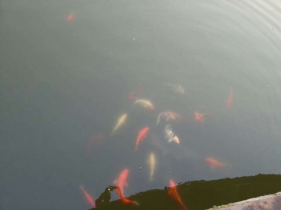 公司环境